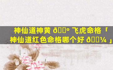 神仙道神黄 🌺 飞虎命格「神仙道红色命格哪个好 🐼 」